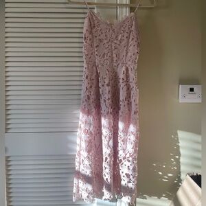 Express Blush Lace Dress